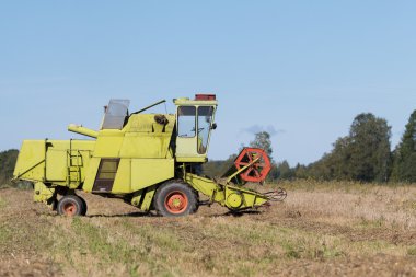 Eski yeşil hasat alanında