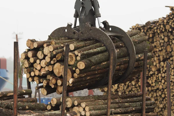 重型起重吊车切木原木 — 图库照片