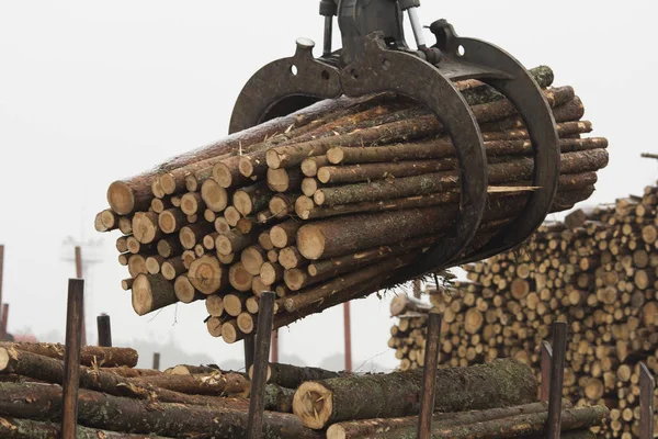Dźwigowe dźwig załadunku cięcia bali drewnianych — Zdjęcie stockowe