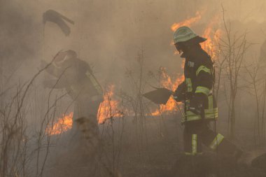 bir orman yangını itfaiye savaş
