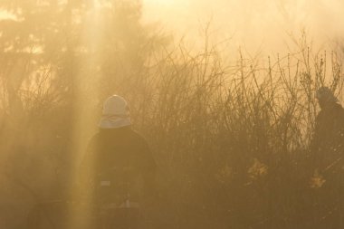 bir orman yangını itfaiye savaş