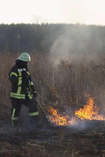 Bomberos luchan contra un incendio forestal — Foto de Stock