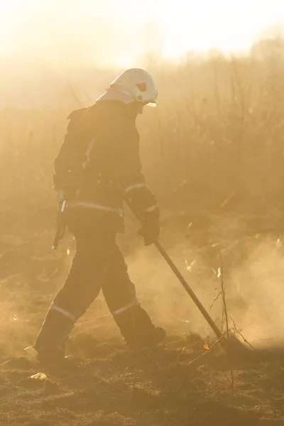 Bomberos luchan contra un incendio forestal — Foto de Stock