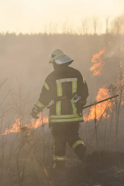 消防士が山火事を戦い — ストック写真