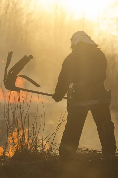 Bomberos luchan contra un incendio forestal —  Fotos de Stock