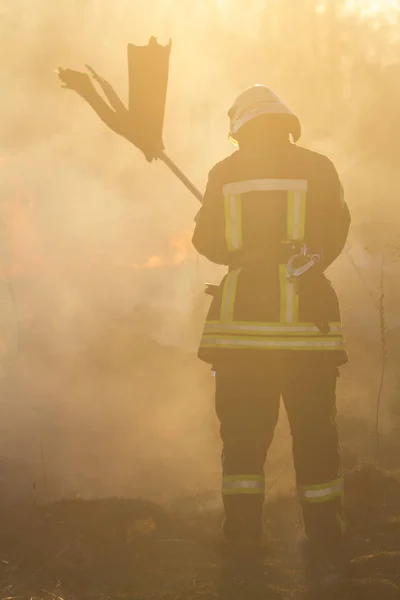 Bomberos luchan contra un incendio forestal —  Fotos de Stock