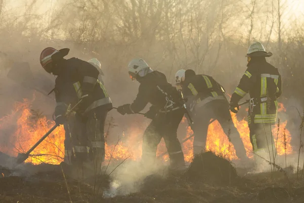 Bomberos luchan contra un incendio forestal — Foto de Stock