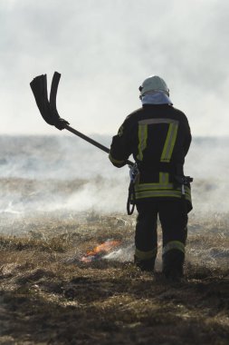 baharda bir orman yangını itfaiye savaş