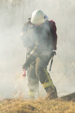 baharda bir orman yangını itfaiye savaş