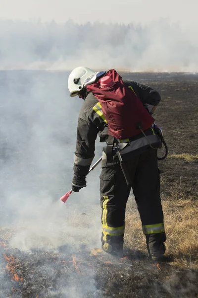 Bomberos combaten un incendio forestal en primavera —  Fotos de Stock
