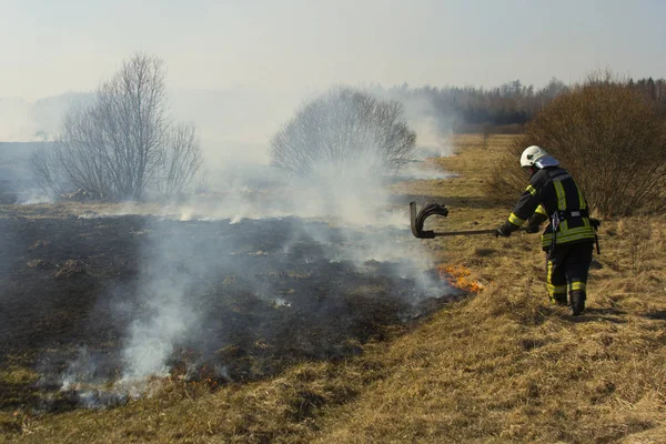 Bomberos combaten un incendio forestal en primavera — Foto de Stock
