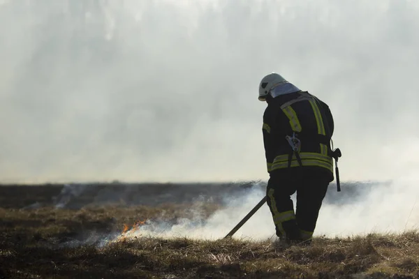 Bomberos combaten un incendio forestal en primavera —  Fotos de Stock
