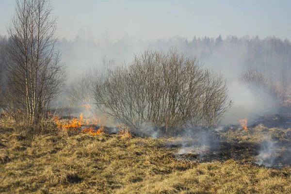 Våren brand. Bränna gräset. Fält rök bakgrund — Stockfoto