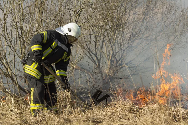 Bomberos combaten un incendio forestal en primavera — Foto de Stock