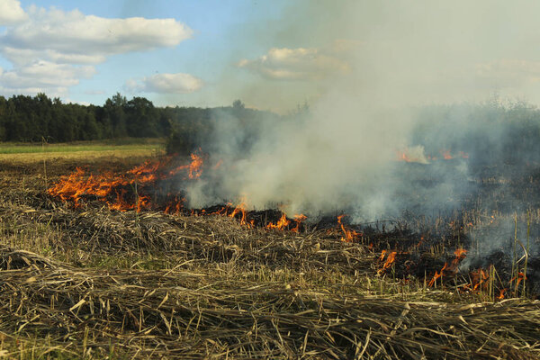 A spring fire. Burning grass. Field Smoke Background