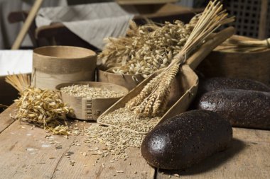 Ekmek arka plan. Kahverengi tam tahıl somun kompozisyon buğday kulaklı rustik ahşap üzerine dağılmış