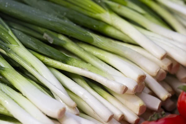 Cebola Verde Mercado Contra Produtos Hortícolas Frescos Biológicos — Fotografia de Stock