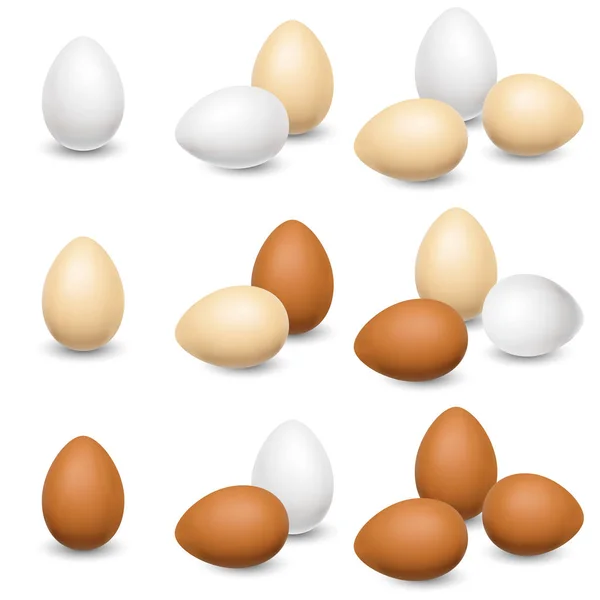 Egg set on a white background — Stock Vector