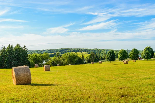 Aussichtsreiche Aussicht auf Heuhaufen an sonnigen Tagen — Stockfoto