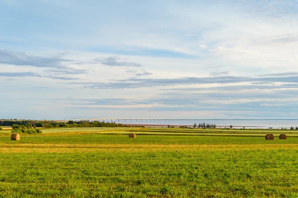 コンフェデレーションかぶと海沿いの農場で干し草の俵 — ストック写真