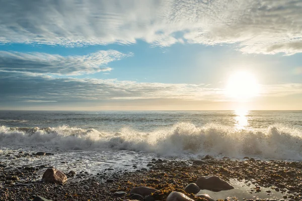 Ocean shore (Cabot Trail, Cape Breton, Nova Scotia, Canada) — Stock Photo, Image