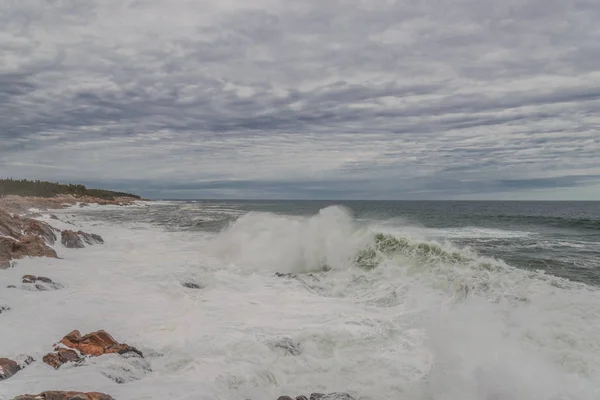 Okyanus kıyısı (Cabot Trail, Cape Breton, Nova Scotia, Kanada) — Stok fotoğraf