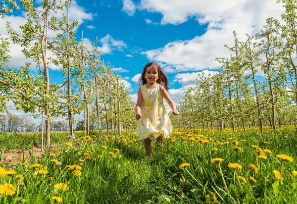 Маленькая девочка бежит посреди яблоневого сада — стоковое фото