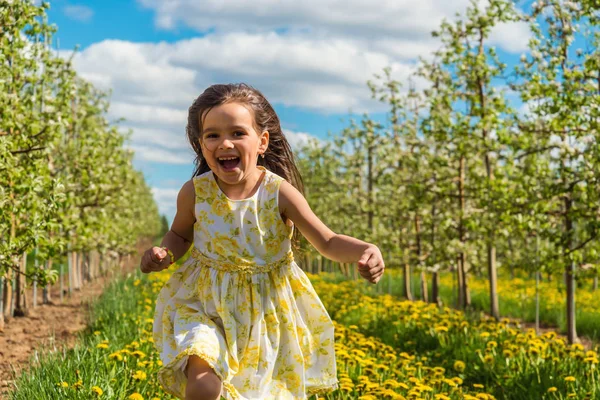 Niña corriendo en medio de un orchar de manzana — Foto de Stock