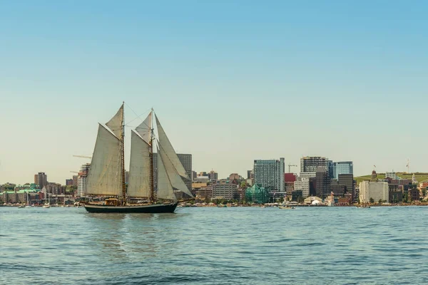 Nave alta nel porto con lo skyline del centro di Halifax su un sole — Foto Stock