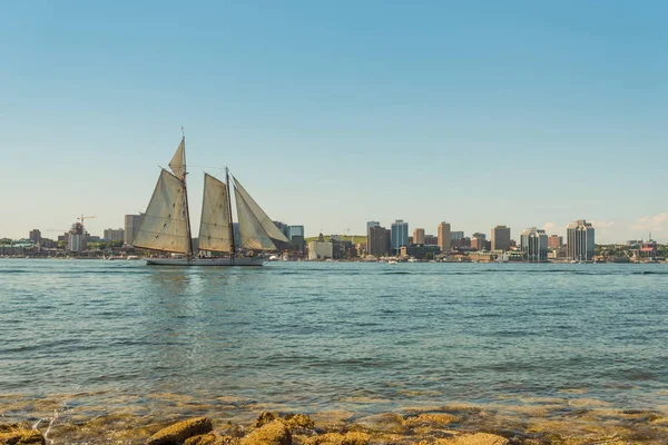 Navio alto no porto com horizonte do centro de Halifax em uma ensolarada — Fotografia de Stock