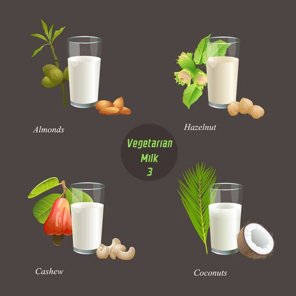 Four types of vegetarian milk part three — Stock Vector