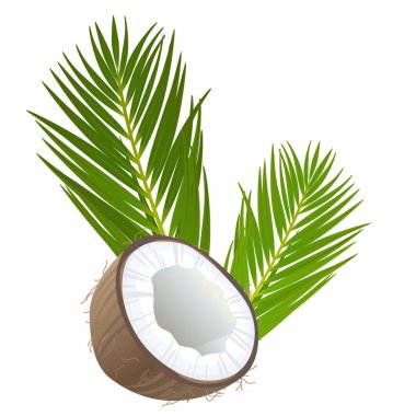 Kakao yaprağı ve somun