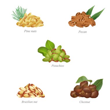 Beş dizi-in onların yaprakları ile fındık. Bölüm iki