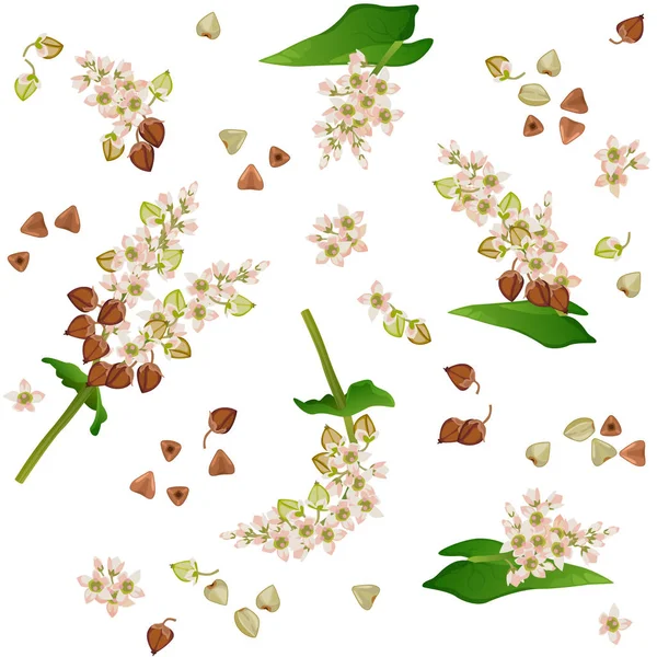 Grechka Cvetokストックベクター ロイヤリティフリーgrechka Cvetokイラスト ページ 3 Depositphotos Grechka Cvetokストックベクター ロイヤリティフリーgrechka Cvetokイラスト ページ 3 Depositphotos