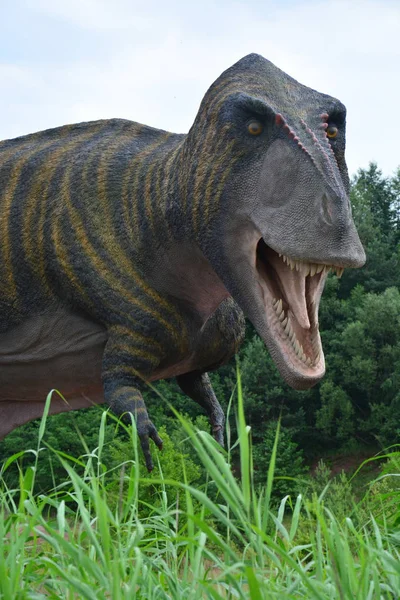 Das Porträt eines der Rekonstruktionen des mesozoischen Tyrannosaurus — Stockfoto