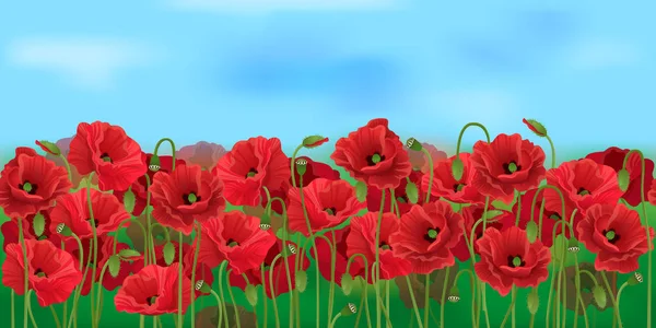 Horizontal seamless poppy field with the blue sky — Stock Vector