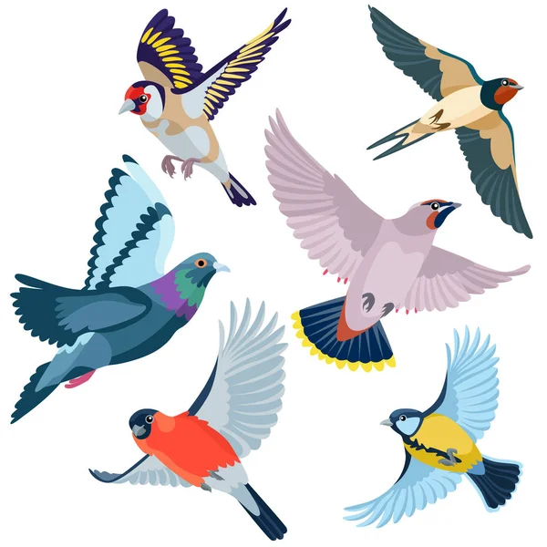 Seis aves voadoras — Vetor de Stock