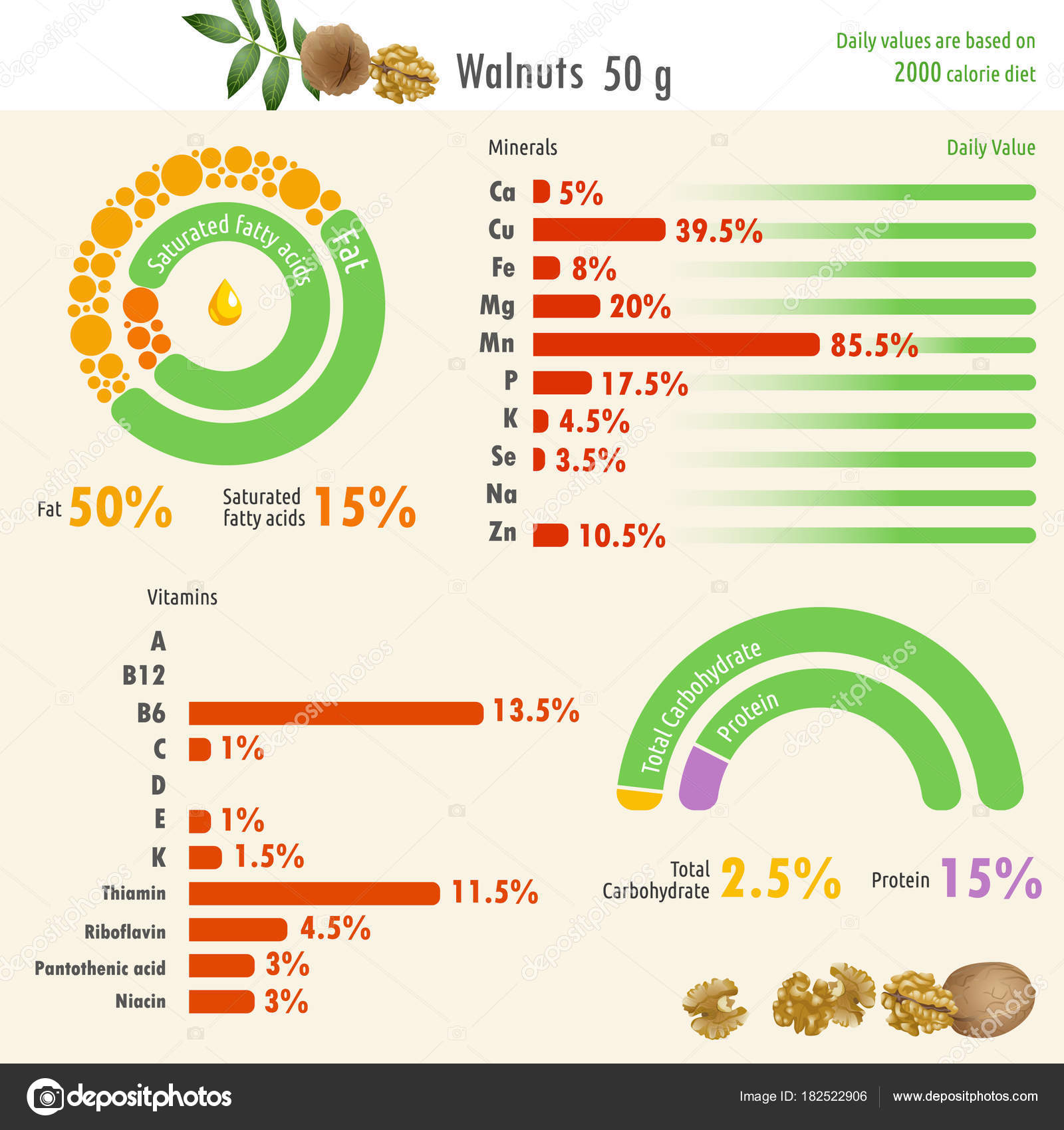 Infographic Walnut Nutritional Value Infographic Illustration Walnut