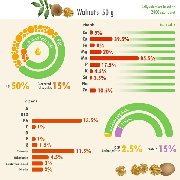 Infografika Wartości Odżywczej Orzech Ilustracja Infografikę Wartości Odżywczej Orzech Wartościami — Wektor stockowy