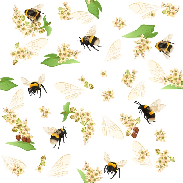 Bumblebee Seamless Pattern Golden Buckwheat Flowers Golden Insect Wings — Stock Vector