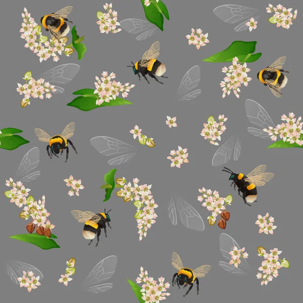 Bumblebee Seamless Pattern Buckwheat Flowers Insect Wings Gray — Stock Vector