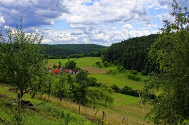 Ormanın yakınındaki bulutlarla kaplı güzel bir gökyüzü.