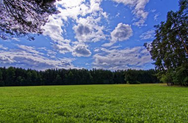 Ormanın yanındaki tarlada bulutlar olan güzel bir gökyüzü. 