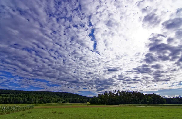 Beautiful Sky Clouds Field Forest — Stock Photo, Image