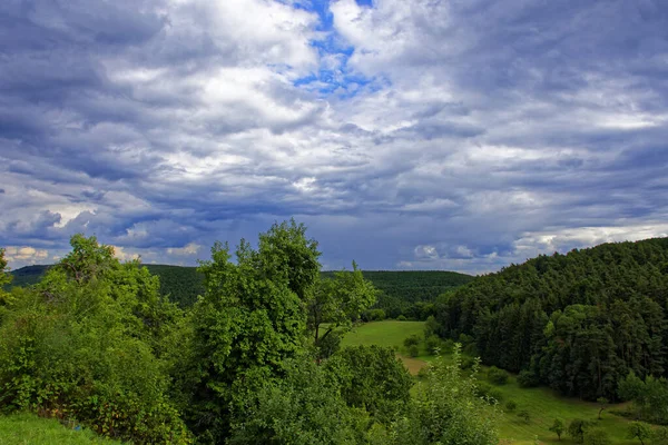 Bavyera Ormanında Parlak Bir Yaz Günü — Stok fotoğraf