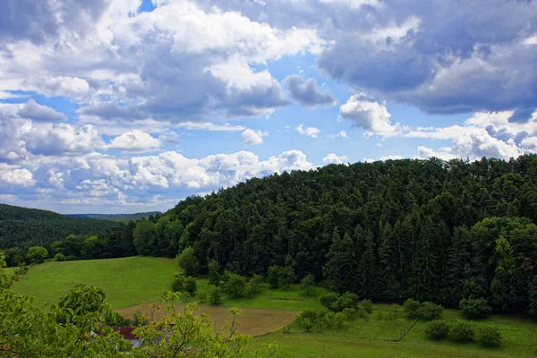 Летний Яркий День Баварском Лесу — стоковое фото