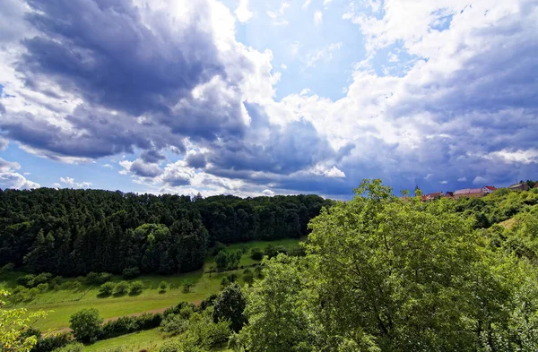 巴伐利亚森林里的夏日阳光灿烂 — 图库照片