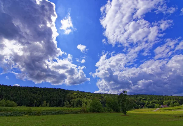 美丽的天空笼罩着森林附近的田野 — 图库照片