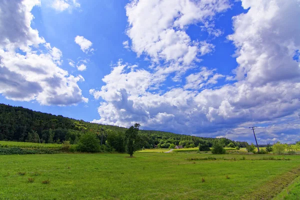 Bavyera Ormanında Parlak Bir Yaz Günü — Stok fotoğraf