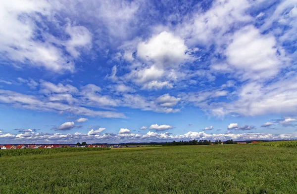 Beautiful sky with clouds over field near forest